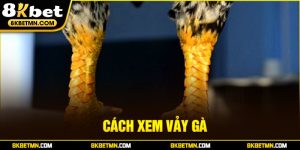 Cách xem vảy gà - 8kbet chia sẻ các loại vảy đặc trưng nhất